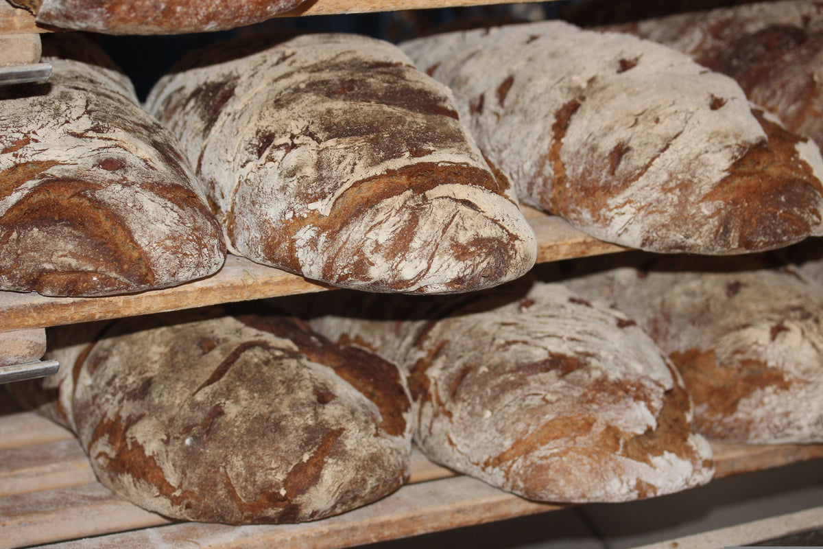 Manare - Harina de Coco Orgánica 500 gramos