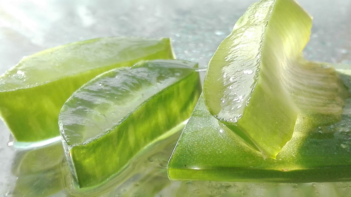 Manare- Aloe Vera Gel 473ml Natural