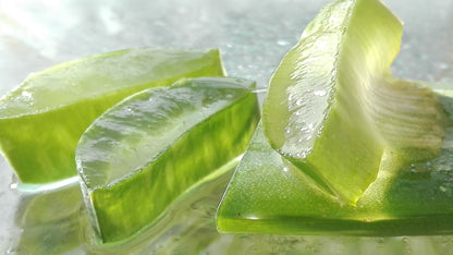 Manare- Aloe Vera Gel 473ml Natural