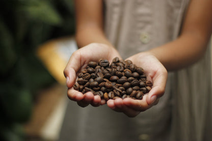 Señor K- Café En Grano Blend Santa Rosa 100gramos